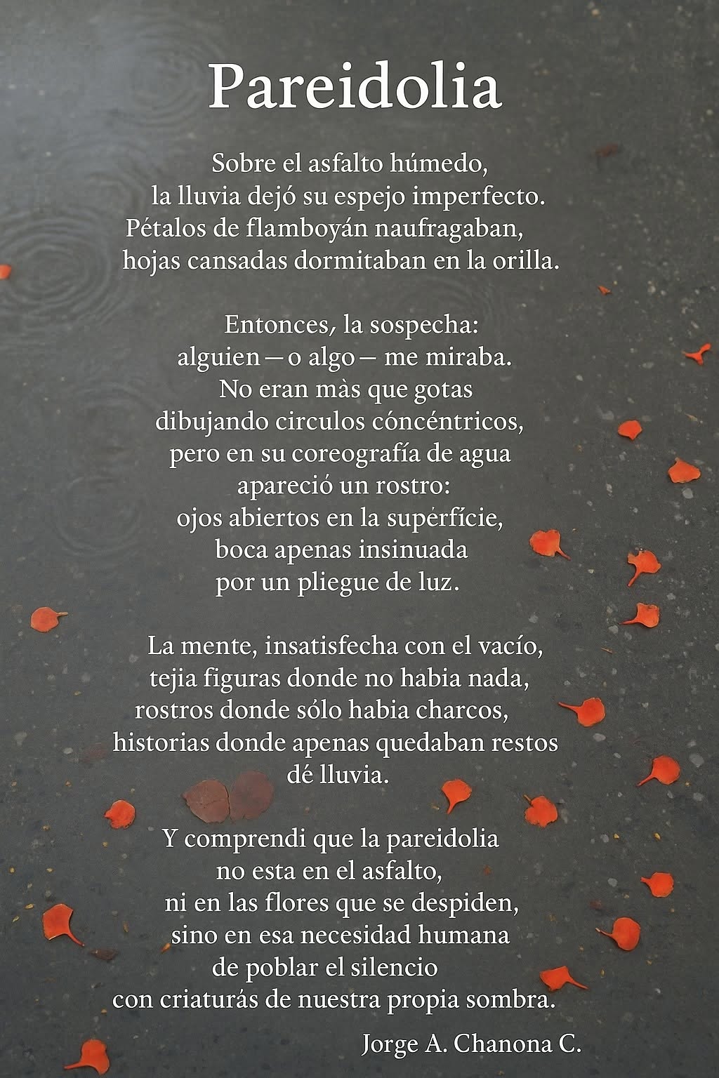 Poesía 651182186 34793011163680247 7900623749685891007 n