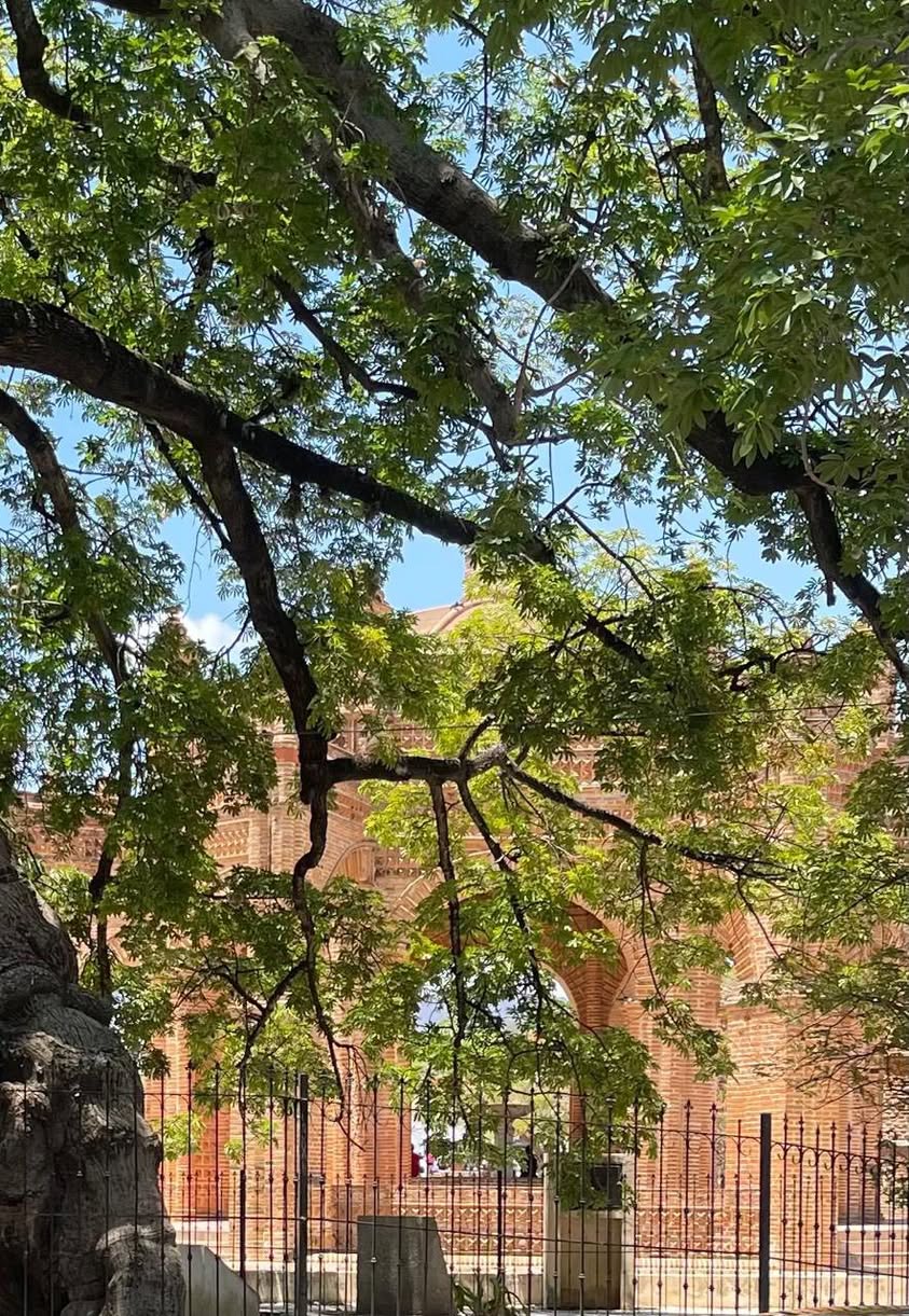 rocio santo domingo